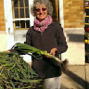 Meet your Posher, Rabbi robin